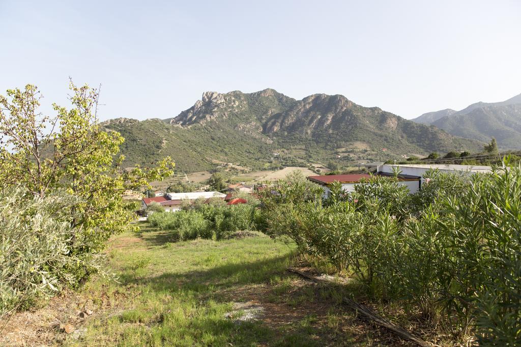 Natur Hotel Tanca Cardedu Bagian luar foto